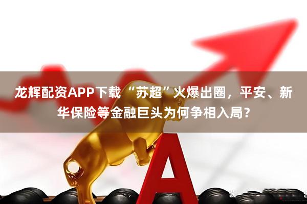 龙辉配资APP下载 “苏超”火爆出圈，平安、新华保险等金融巨头为何争相入局？