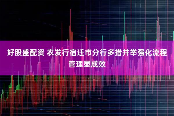 好股盛配资 农发行宿迁市分行多措并举强化流程管理显成效
