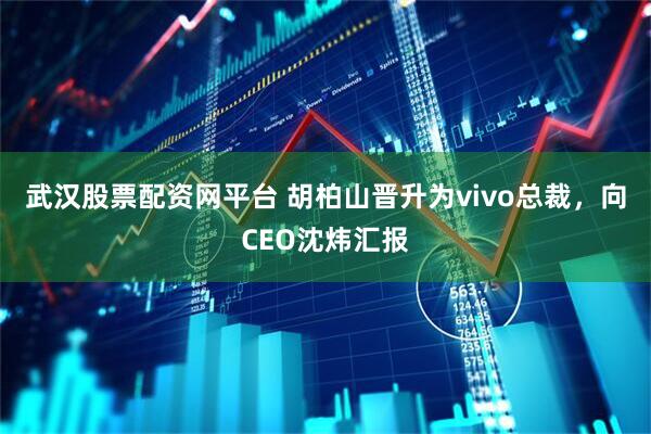 武汉股票配资网平台 胡柏山晋升为vivo总裁，向CEO沈炜汇报