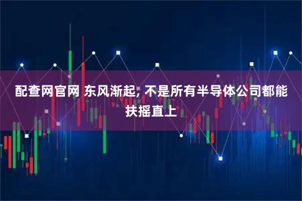 配查网官网 东风渐起, 不是所有半导体公司都能扶摇直上