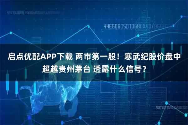 启点优配APP下载 两市第一股！寒武纪股价盘中超越贵州茅台 透露什么信号？